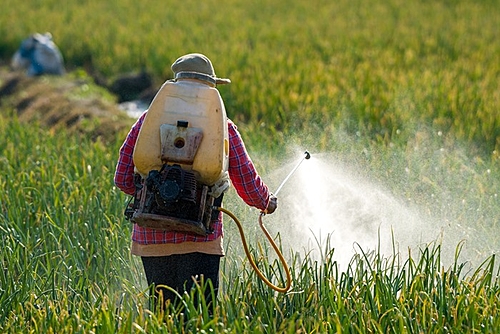 video-pesticide-use-in-brazil-and-problems-for-rural-internacional